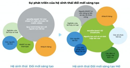 tuvanthuanthanh_he_sinh_thai_startup_viet-e1639929319450.jpg